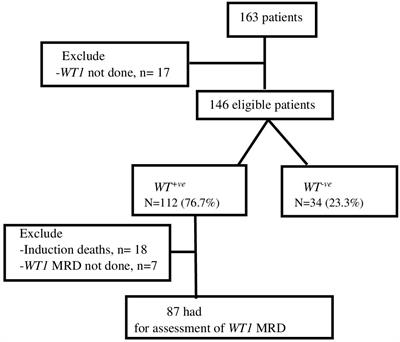 Integration of measurable residual disease by WT1 gene expression and flow cytometry identifies pediatric patients with high risk of relapse in acute myeloid leukemia